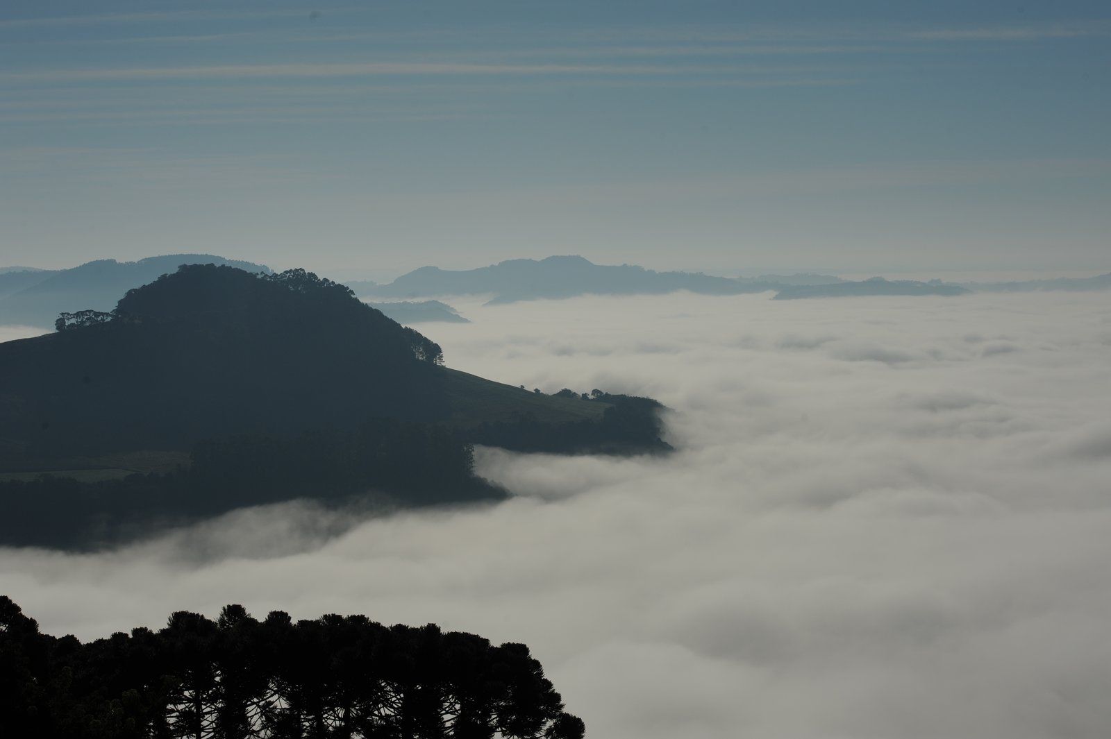Morros com araucárias sobre o mar de nuvens, no Alto Taquari